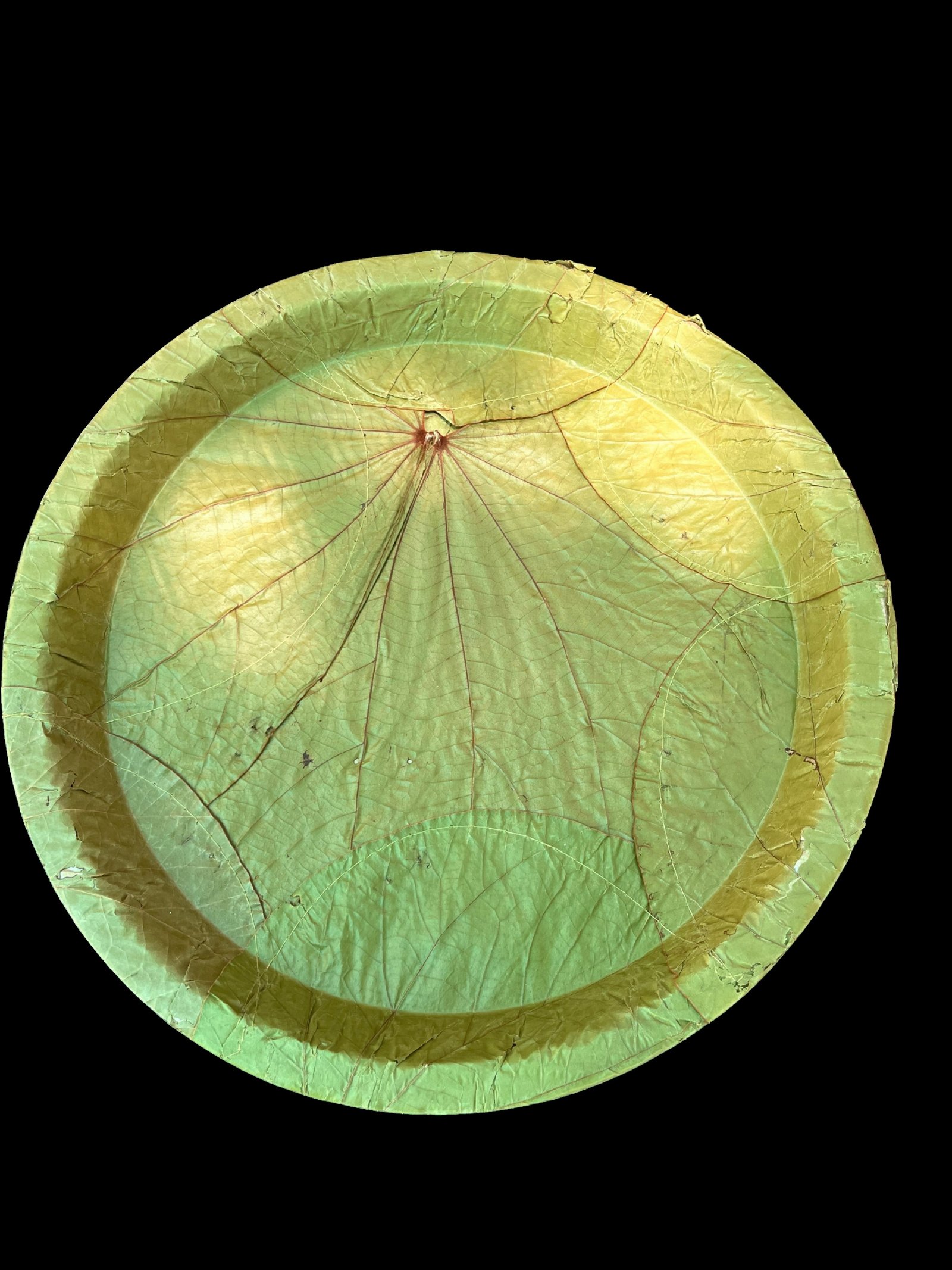 13" Round Stitched - Vistaraku / SAL leaf Buffet Plate (Pack of 20)